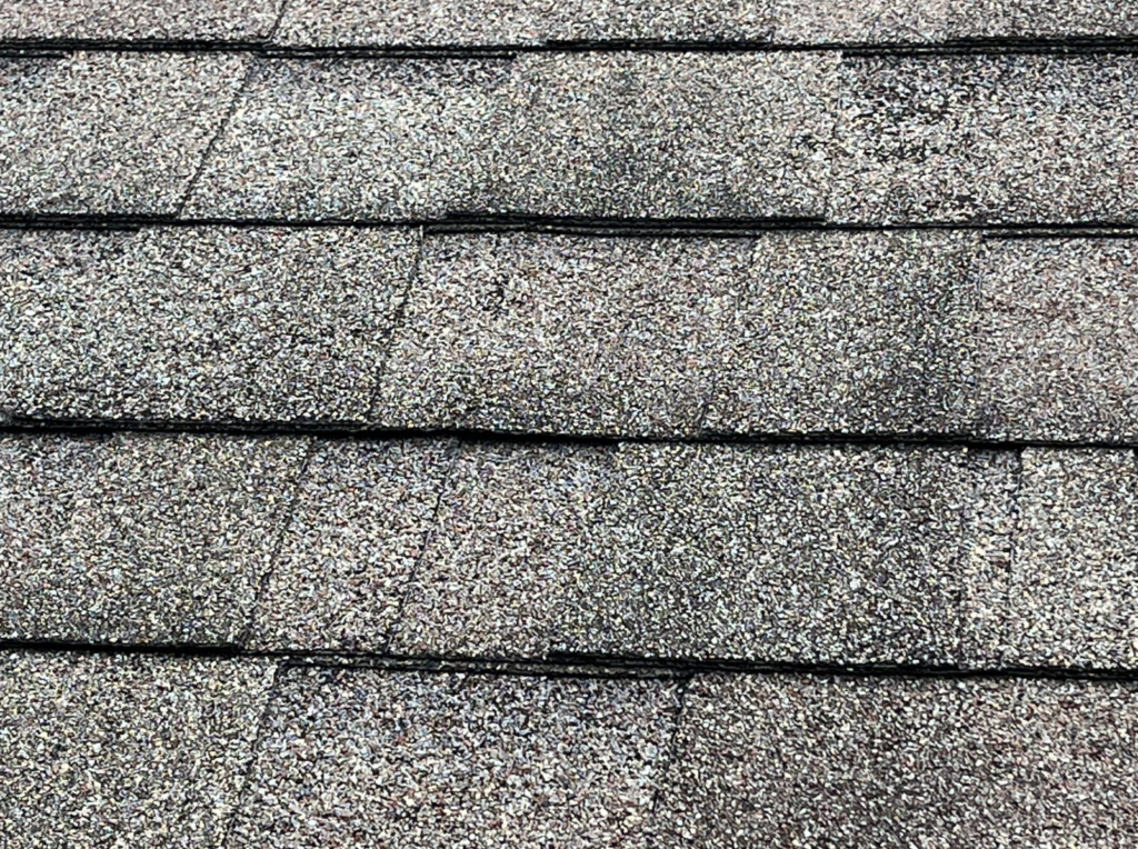 property damage inspection